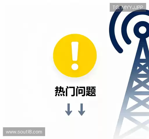 用户指南